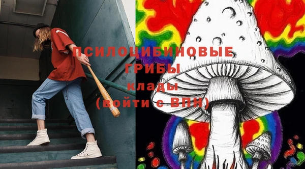 прущие крисы Павловск