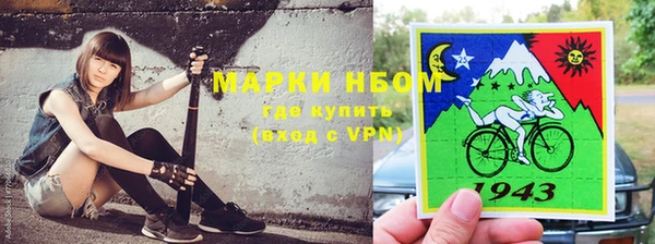 ECSTASY Ладушкин