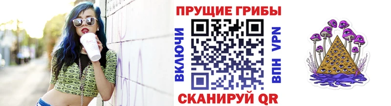 кракен рабочий сайт  Томмот  Псилоцибиновые грибы MAGIC MUSHROOMS  цена наркотик 