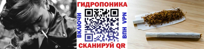 Бошки марихуана Ganja даркнет сайт Томмот